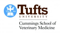 Tufts University Quilt Basket